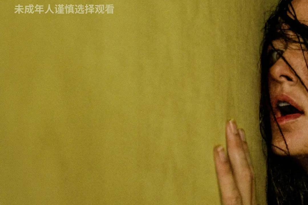 《恐怖游轮》6天4000万《后室》累计1.8亿 恐怖片是门好生意